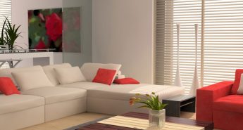 About Apogee Builders