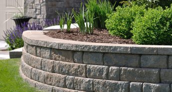 Low Maintenance Landscaping Adelaide